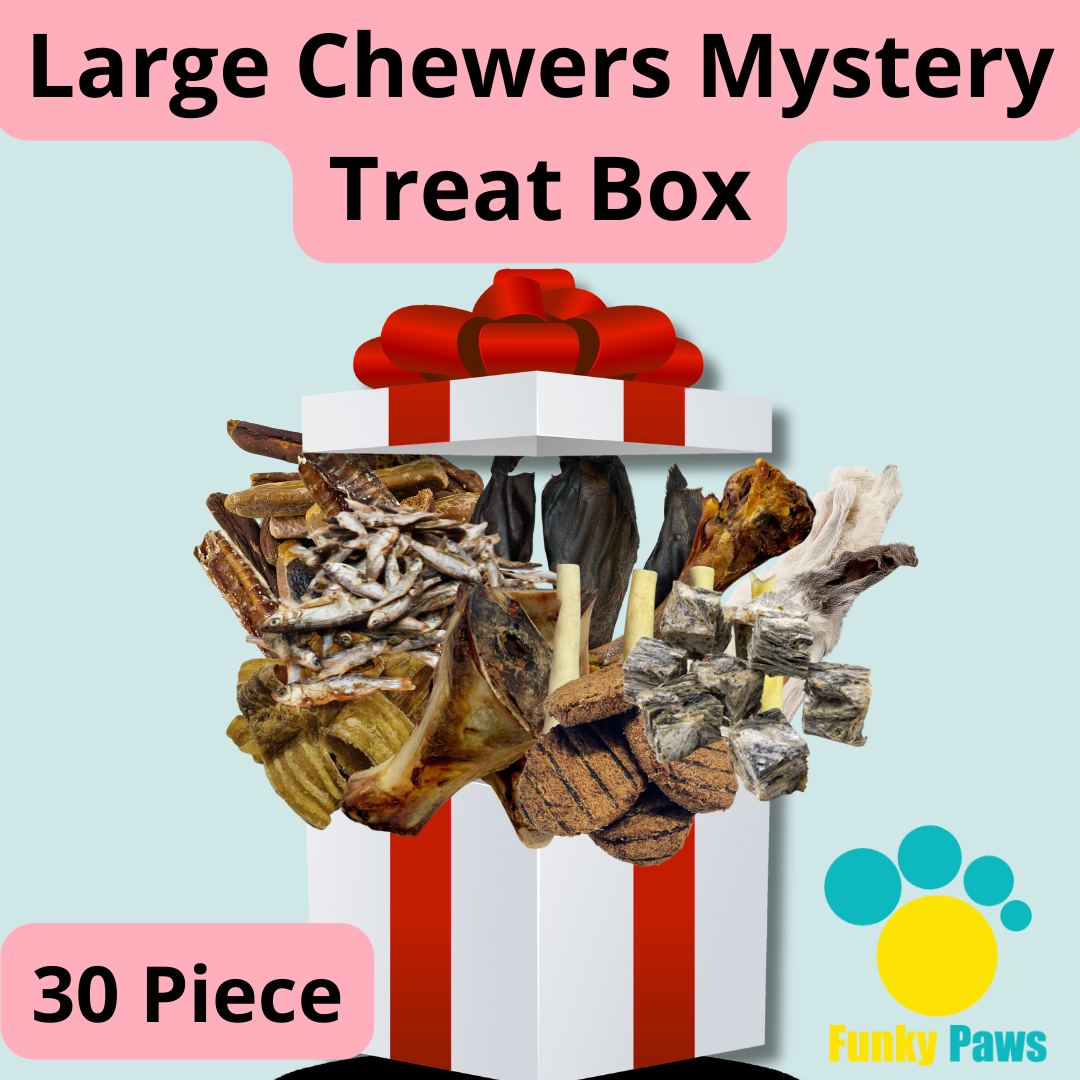 Large Chewers Mystery Treat Box - 30 Piece