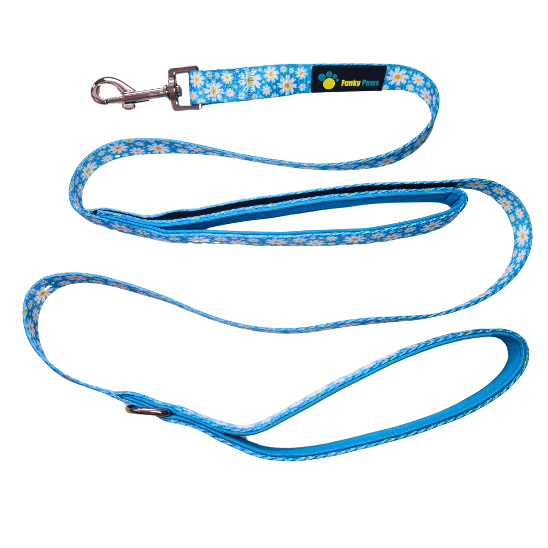 Double Handle Lead - Cool Daisy