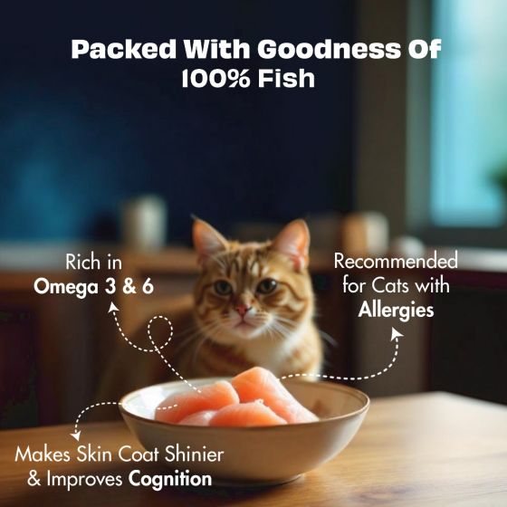 Pawfect Nature's Feast Freeze-Dried Fish Meat Treats for Cats - size guide | Funky Paws Co
