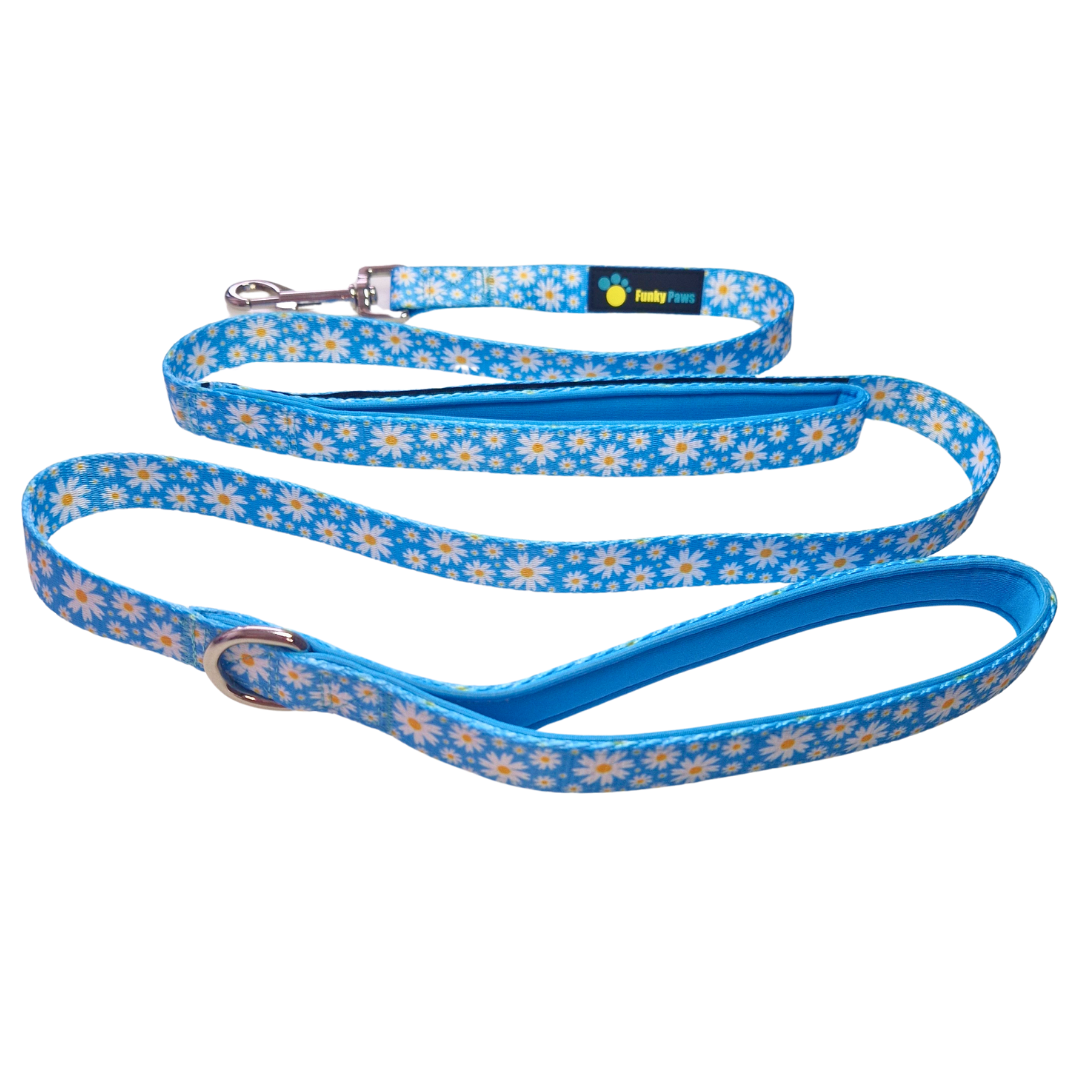 Double Handle Lead - Cool Daisy