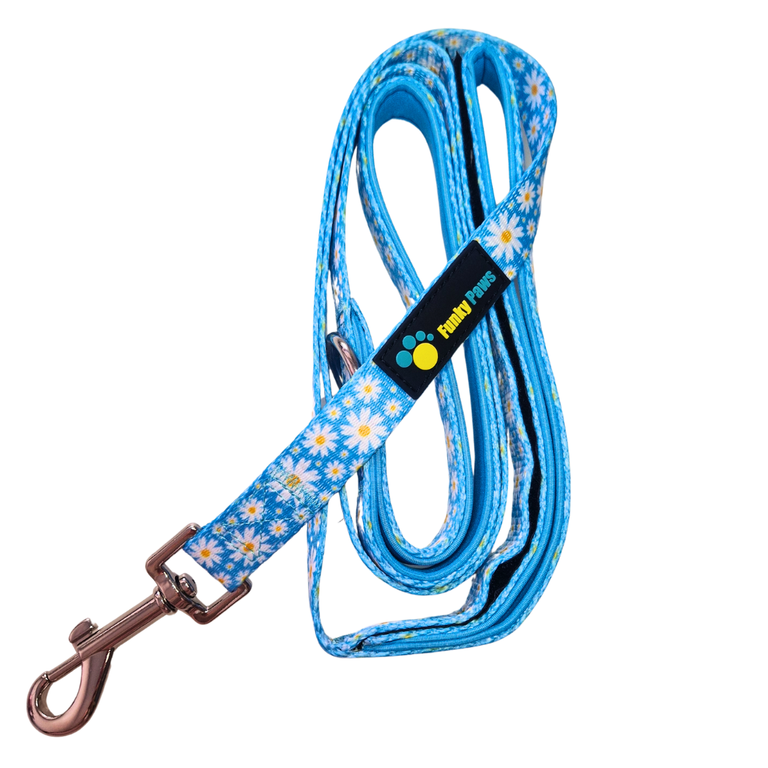 Double Handle Lead - Cool Daisy