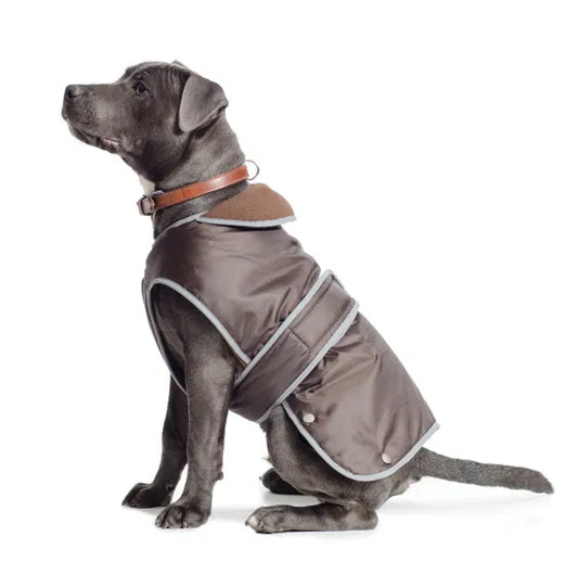 Chocolate Stormguard Dog Coat