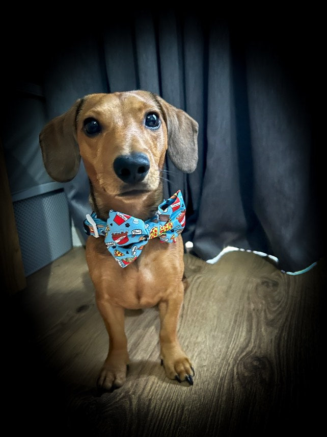 Collar and Bowtie - Funky Foodie