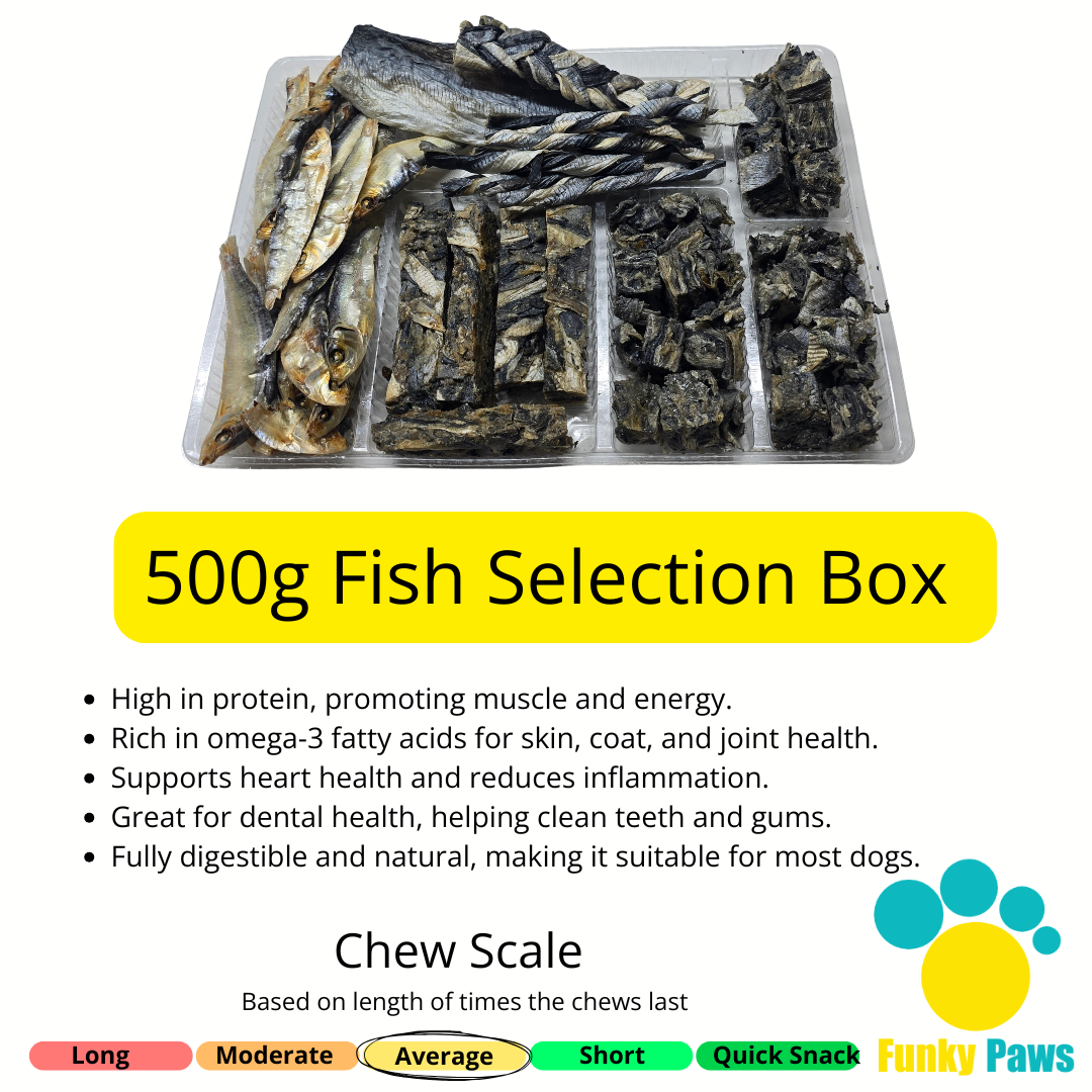 500g Natural Fish Selection Box for Dogs – 100% Fish