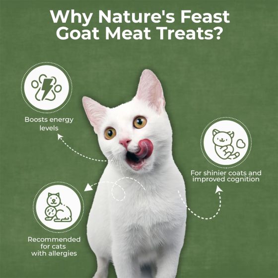Pawfect Nature's Feast Freeze-Dried Goat Meat Treats for Cats - lifestyle shot | Funky Paws Co