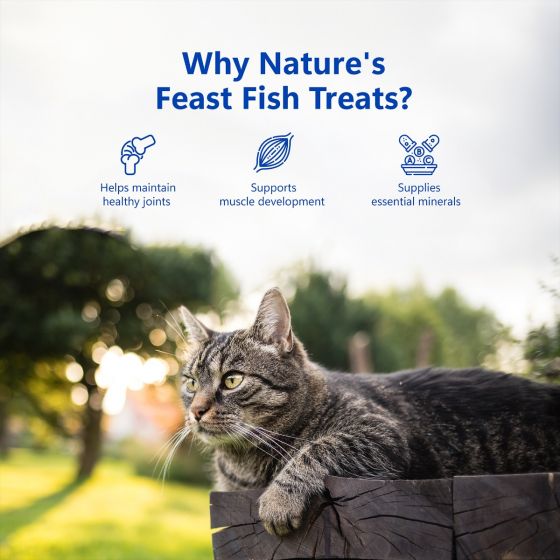 Pawfect Nature's Feast Freeze-Dried Fish Meat Treats for Cats - product detail | Funky Paws Co