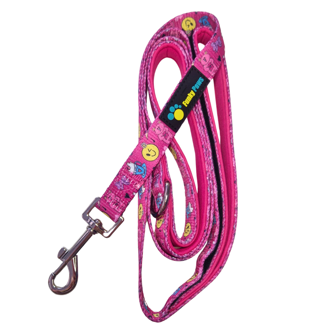 Double Handle Lead - Girls BFF's