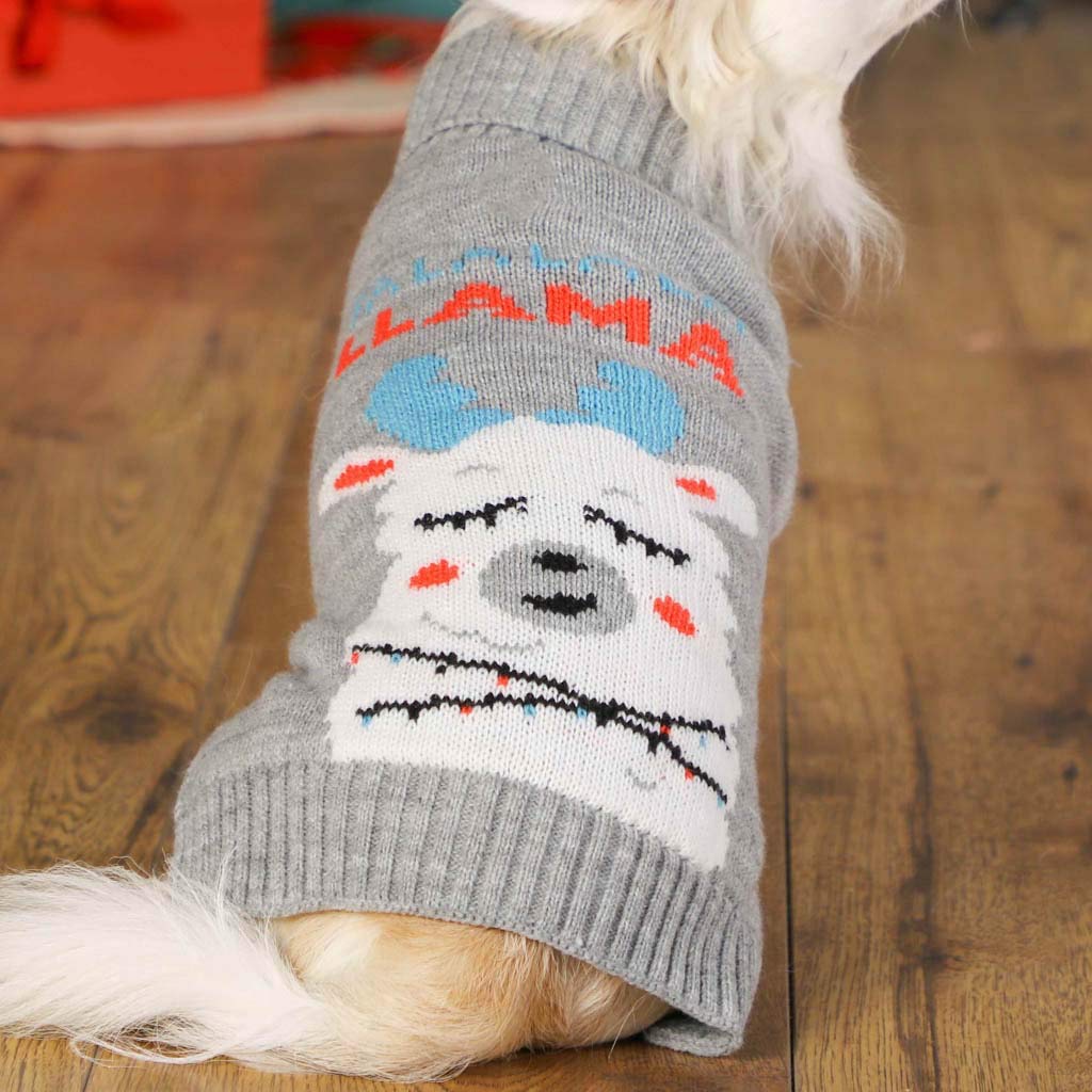 Fa La La La Llama Jumper