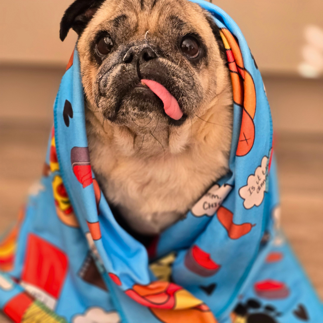 Dog Towel - Funky Foodie