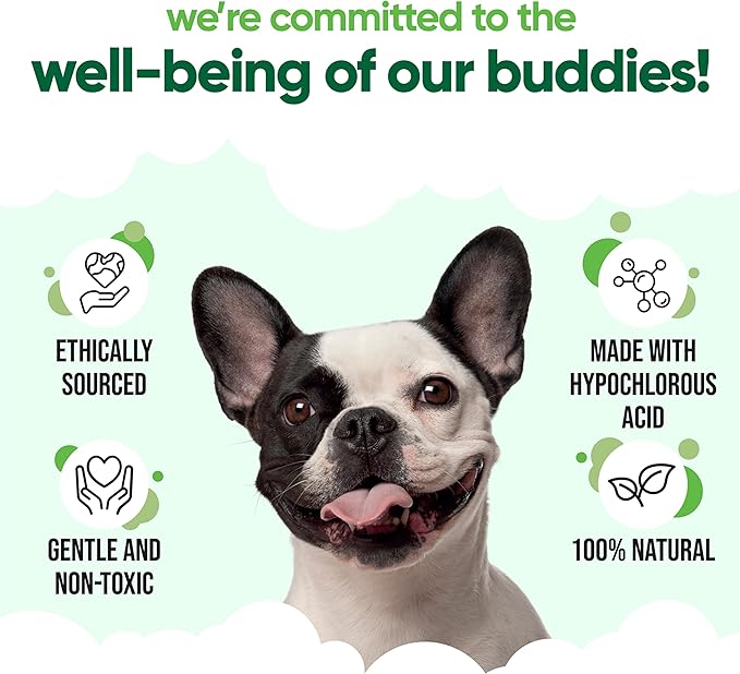 Buddy care - Antiseptic ear drops