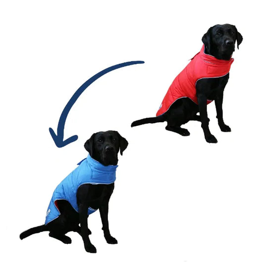 Viva Reversible Puffer Dog Coat – Red & Blue