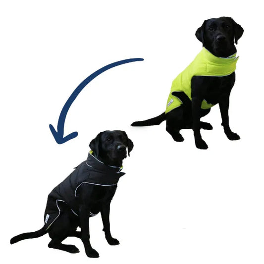 Viva Reversible Puffer Dog Coat – Black & Lime