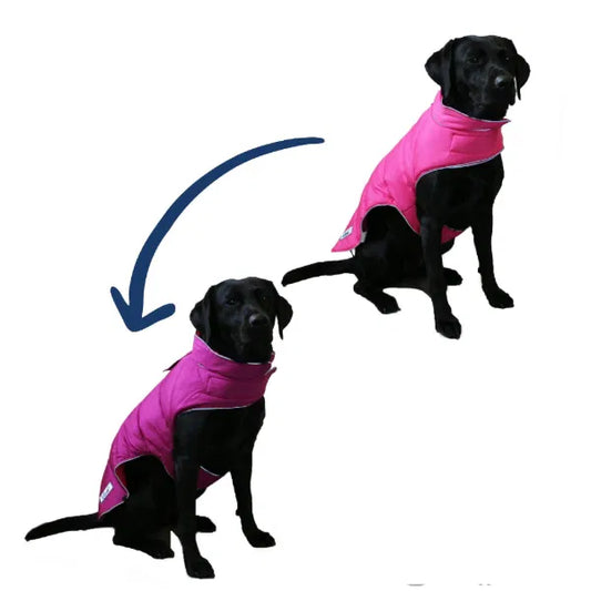 Viva Reversible Puffer Dog Coat – Pink & Purple