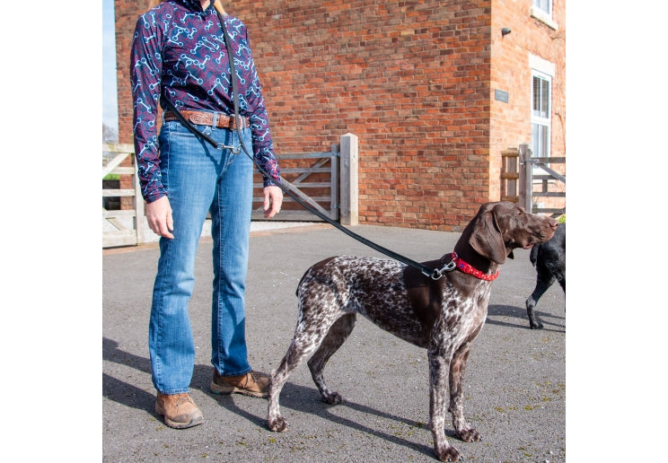 Ancol Multi-Way Training Lead