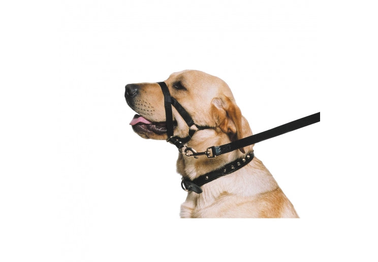 Ancol Nylon Training Halter