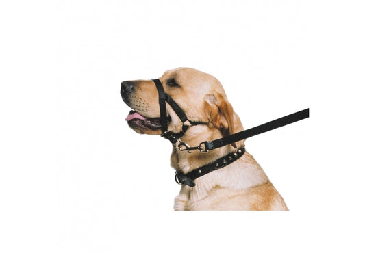 Ancol Nylon Training Halter