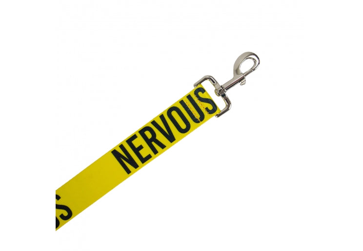 Awareness Lead - Nervous