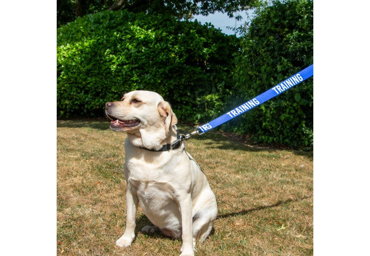 Awareness Lead - Training