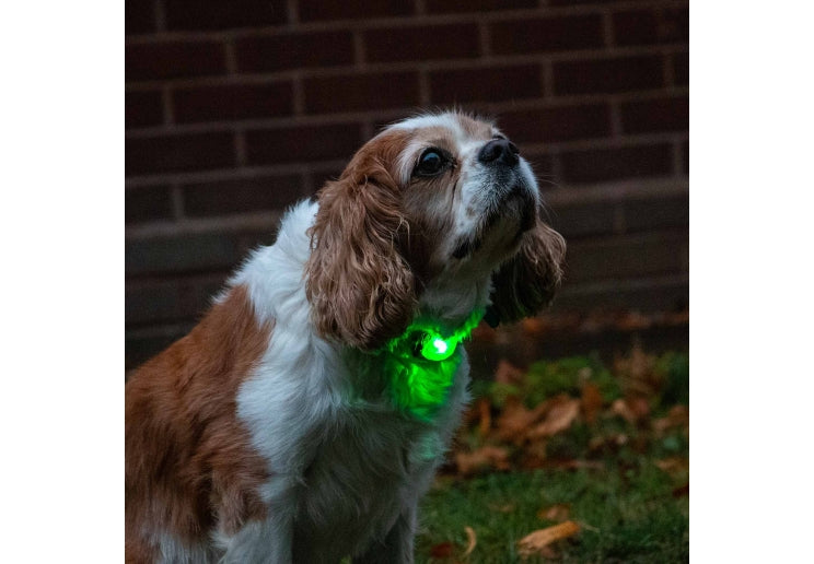 Rechargeable Blinker Green