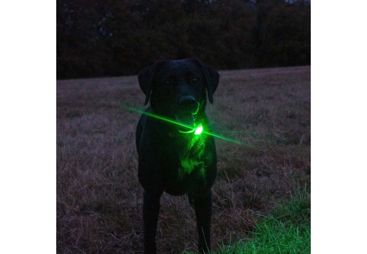 Rechargeable Blinker Green