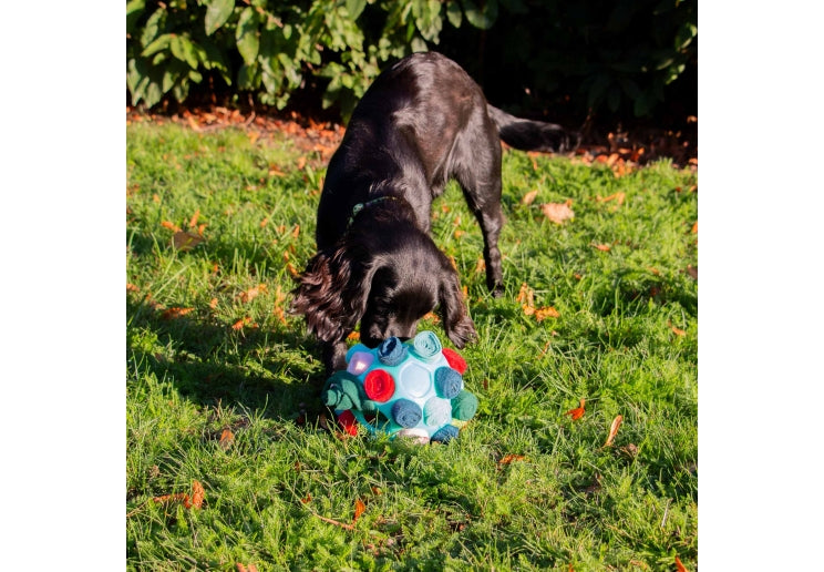 Orva Interactive Snuffle Ball