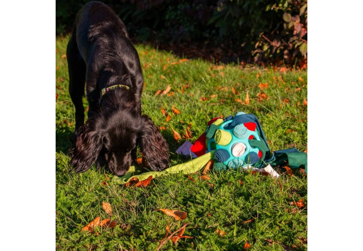 Orva Interactive Snuffle Ball