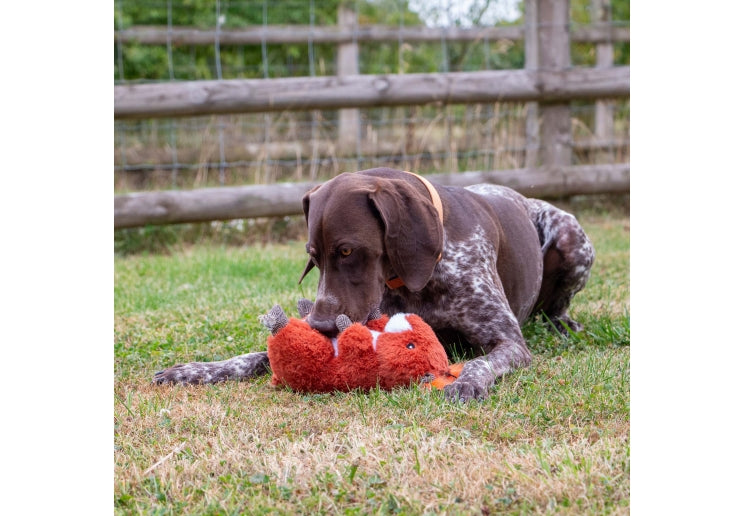 Heritage Samantha Squirrel