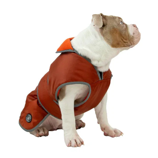 Terracotta Stormguard Dog Coat