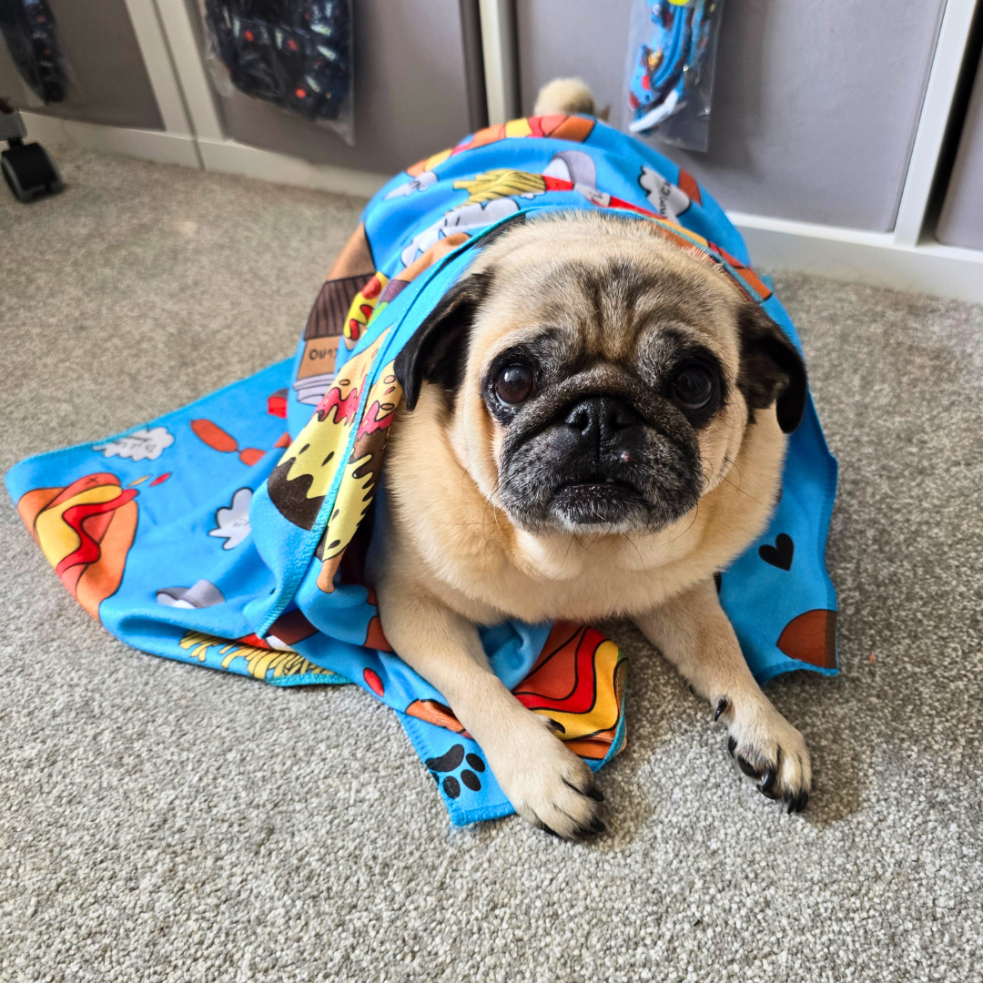 Dog Towel - Funky Foodie