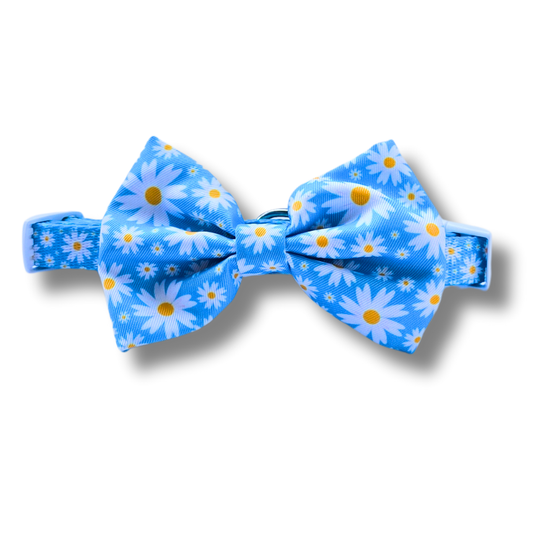 Collar and Bowtie - Cool Daisy