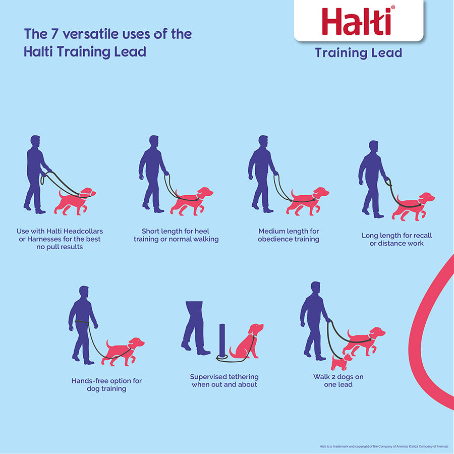 Halti Training Double Ended Dog Lead - Various Sizes