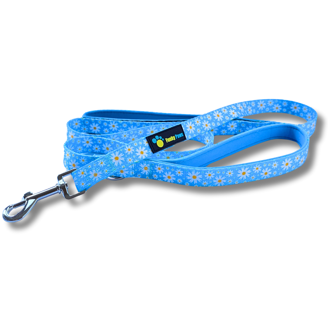 Double Handle Lead - Cool Daisy