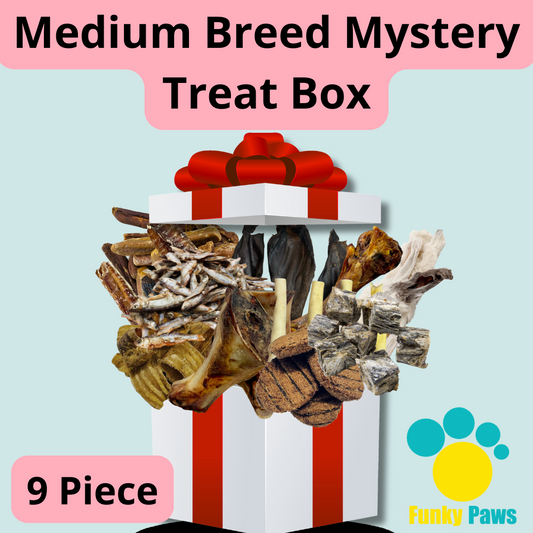 Medium Breed Mystery Treat Box - 9 Piece