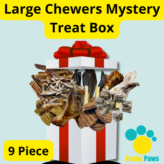 Large Chewers Mystery Treat Box - 9 Piece