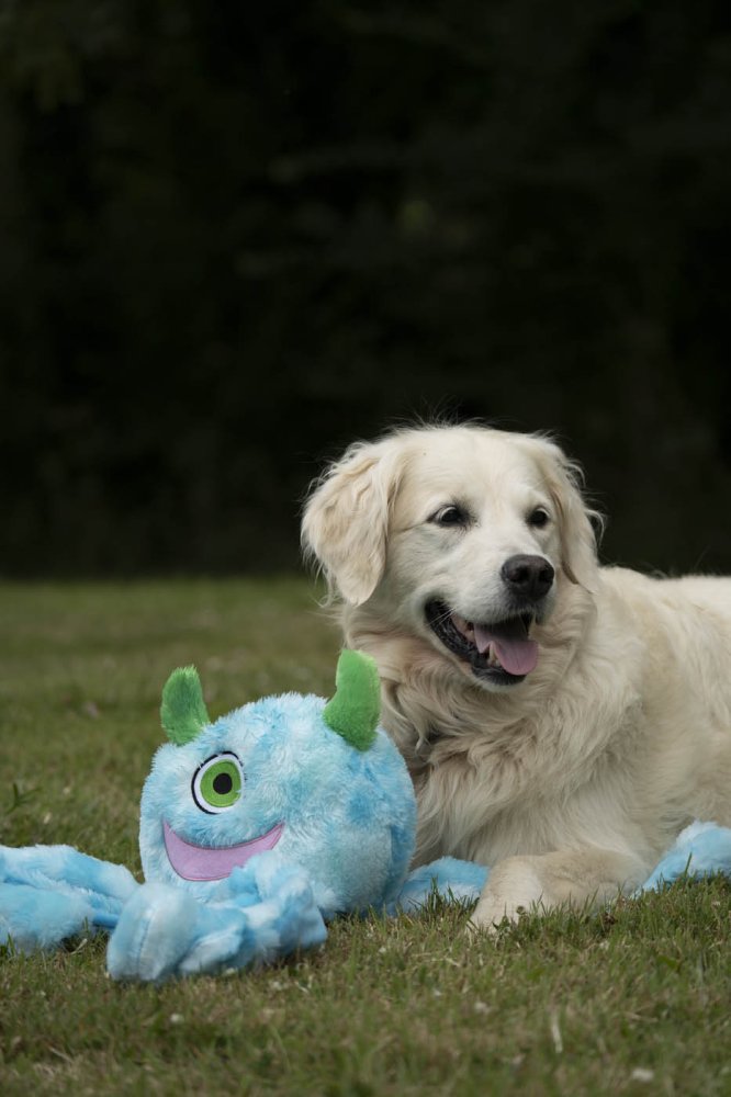 Petface Buddies Alien Octopus Plush Dog Toy Large - product detail | Funky Paws Co