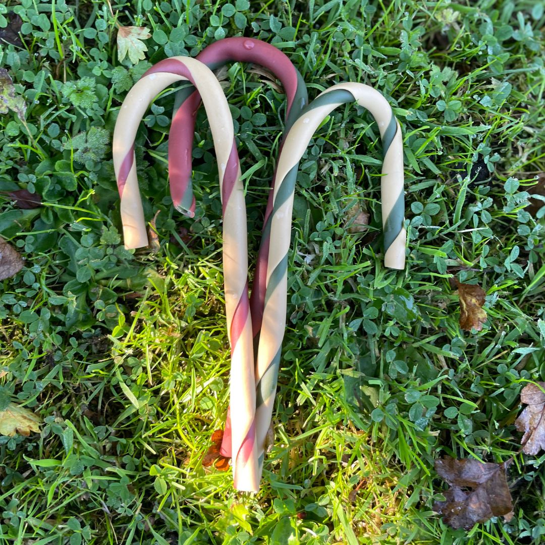 Christmas Candy Cane - For Dogs