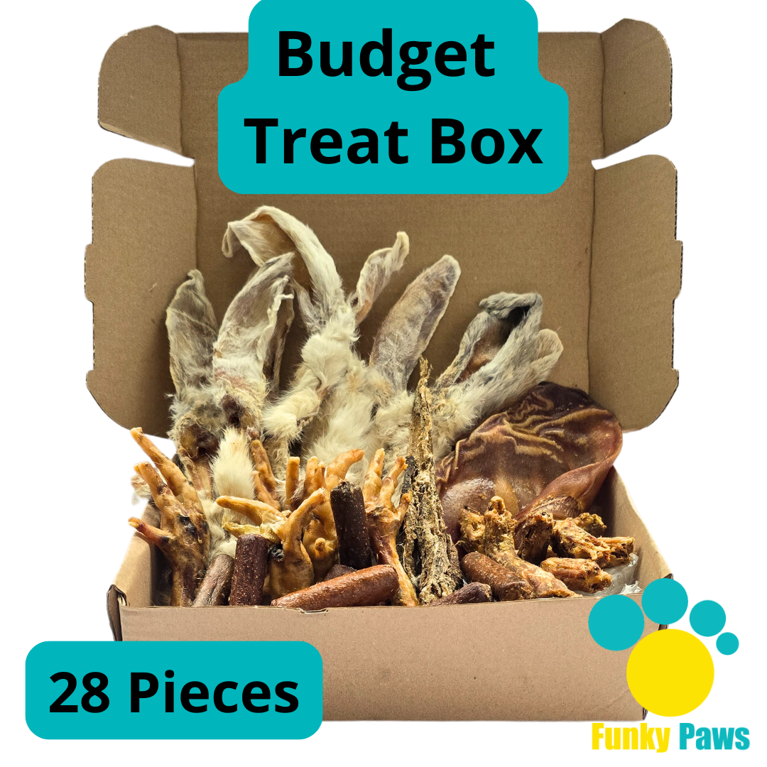 28 Piece All Natural Budget Box