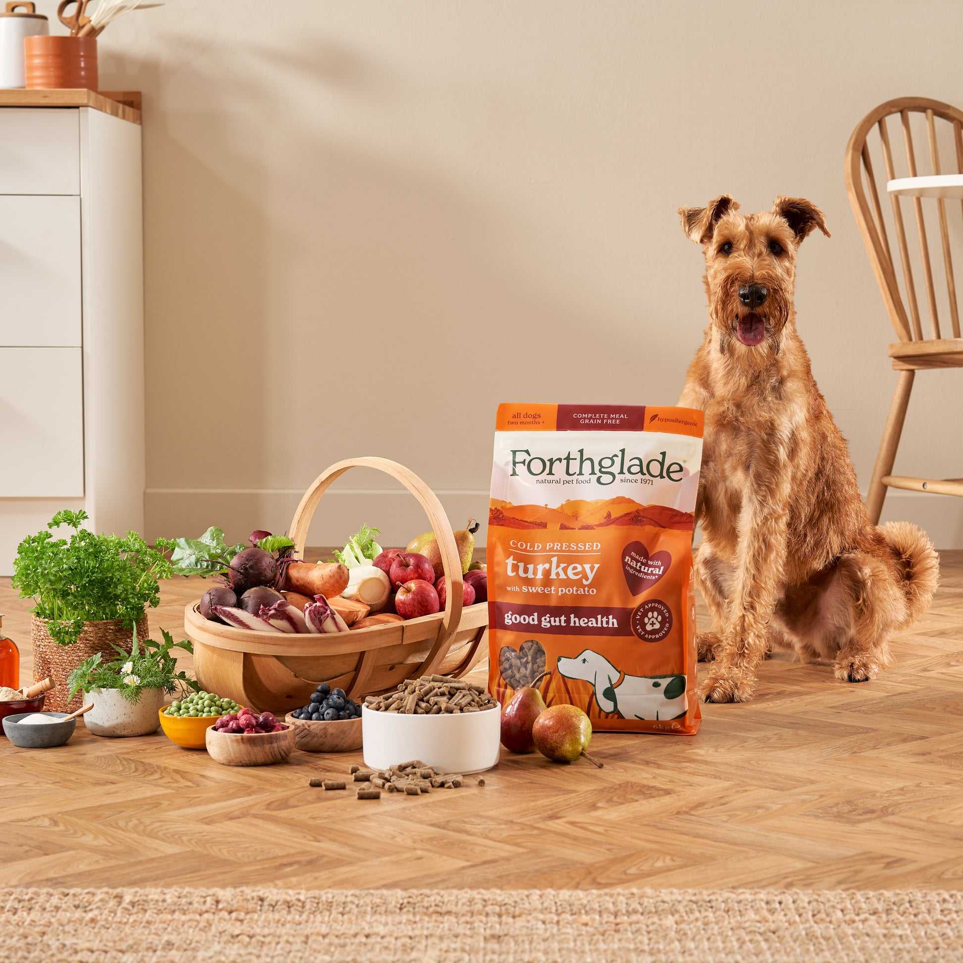 Forthglade Cold Pressed Turkey dry dog food pellets