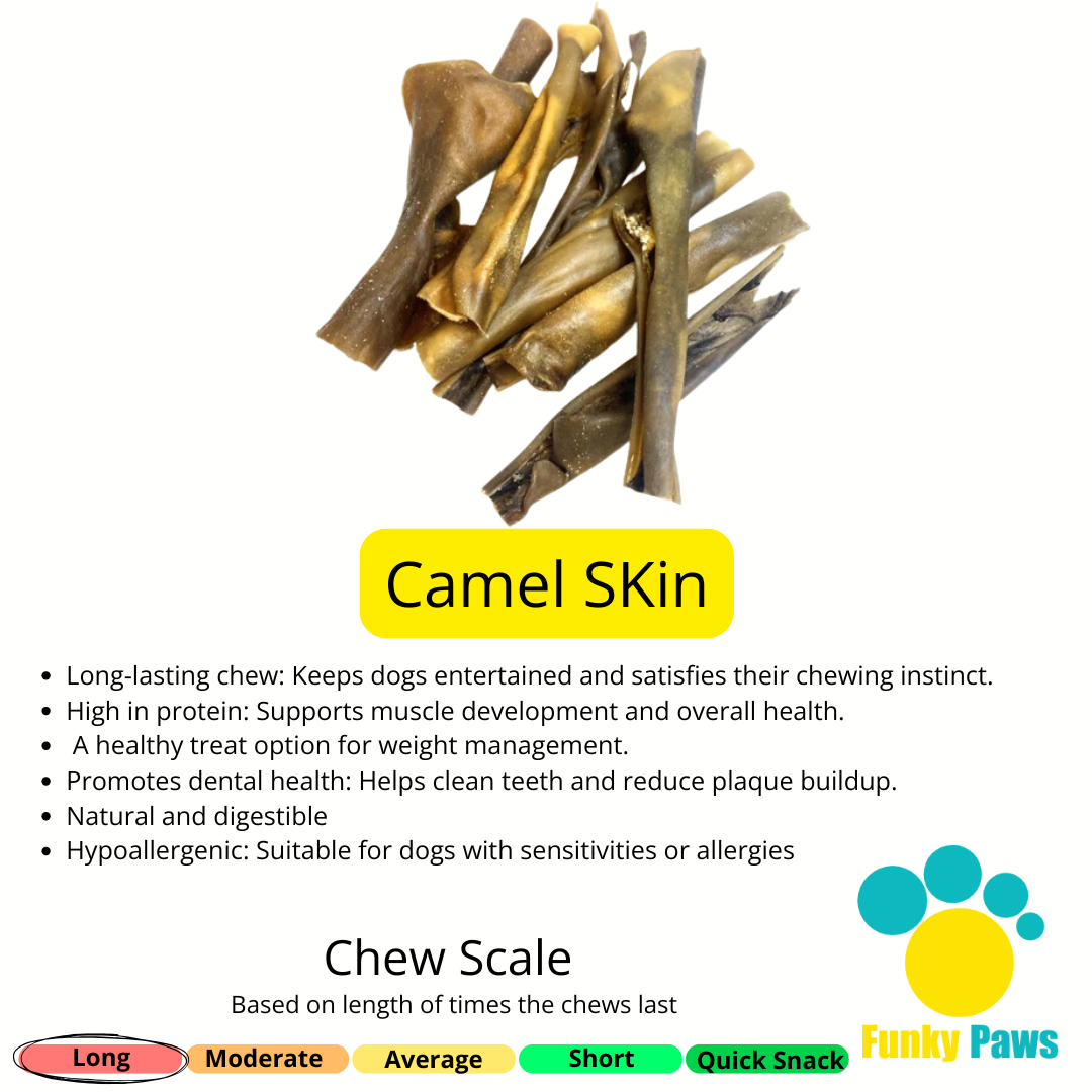 The Ultimate Skin Chew Treat Bundle