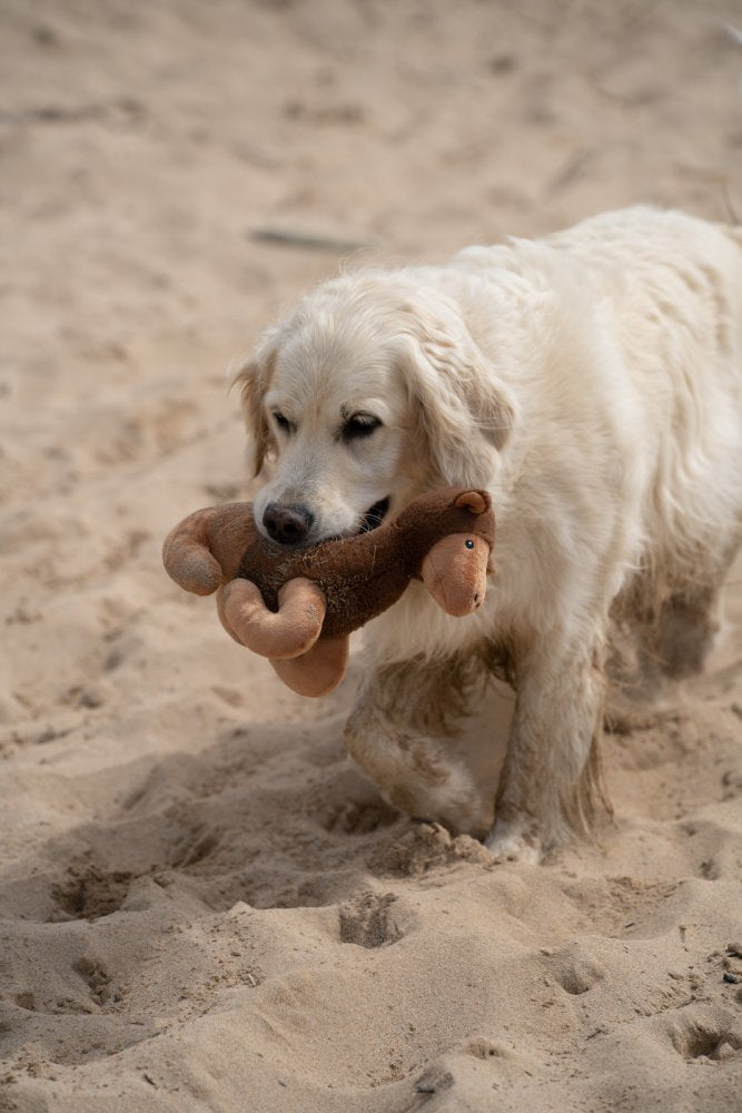 Petface Planet Carmel Camel Plush Dog Toy - product detail | Funky Paws Co