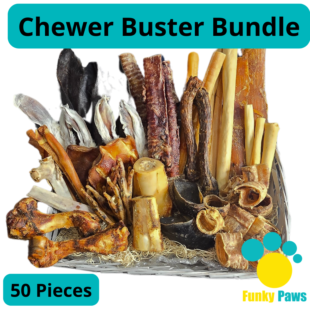 50 Piece Chewer Buster Bundle