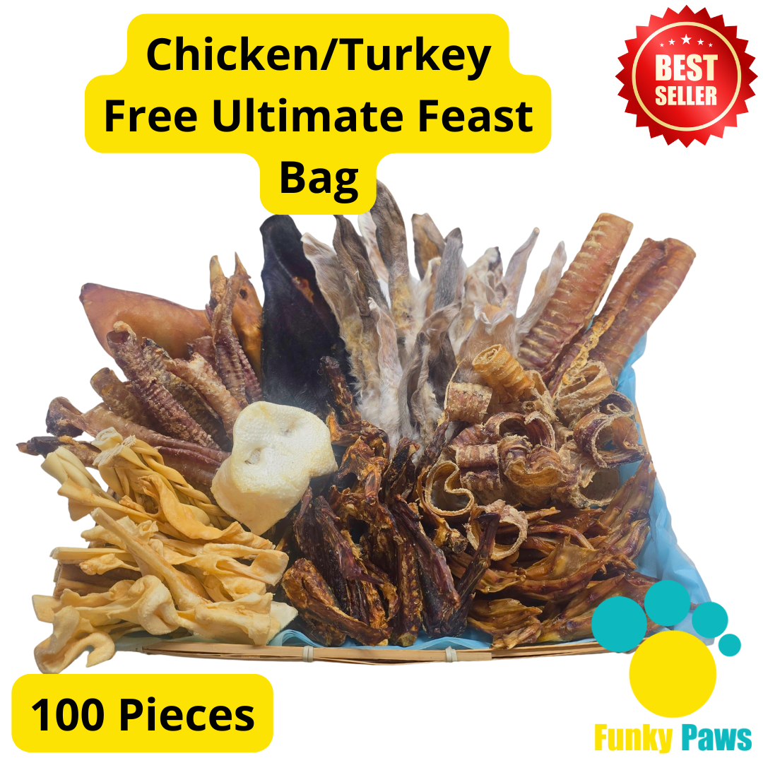 100 Piece Ultimate Feast Bag | Natural Dog Treat Bundle UK | Funky Paws Co