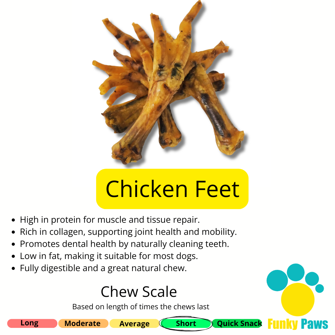 Air-dried natural chicken feet dog treats from the Best Seller Bundle