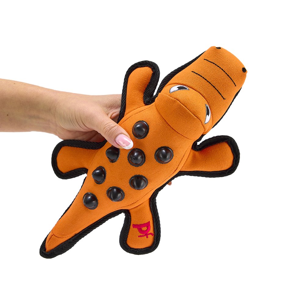 Seriously Strong Nobbly Crocodile Dog Toy - lifestyle shot | Funky Paws Co