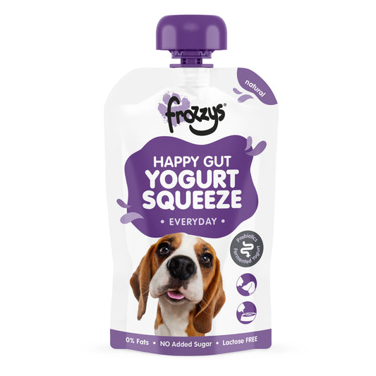 Frozzys Happy Gut Yogurt Squeeze – Natural
