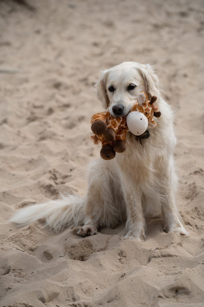 Petface Planet George Giraffe Plush Dog Toy - product detail | Funky Paws Co