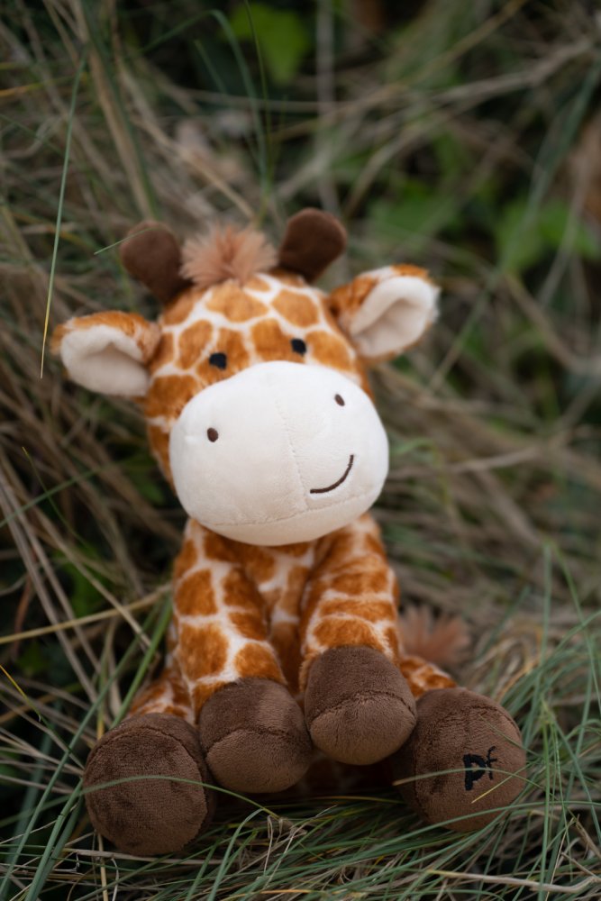 Petface Planet George Giraffe Plush Dog Toy - lifestyle shot | Funky Paws Co