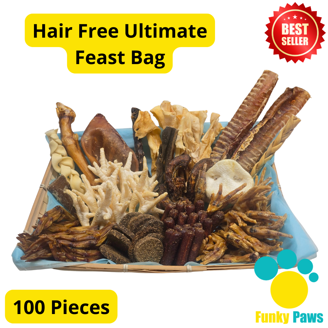 100 Piece Ultimate Feast Bag | Natural Dog Treat Bundle UK | Funky Paws Co