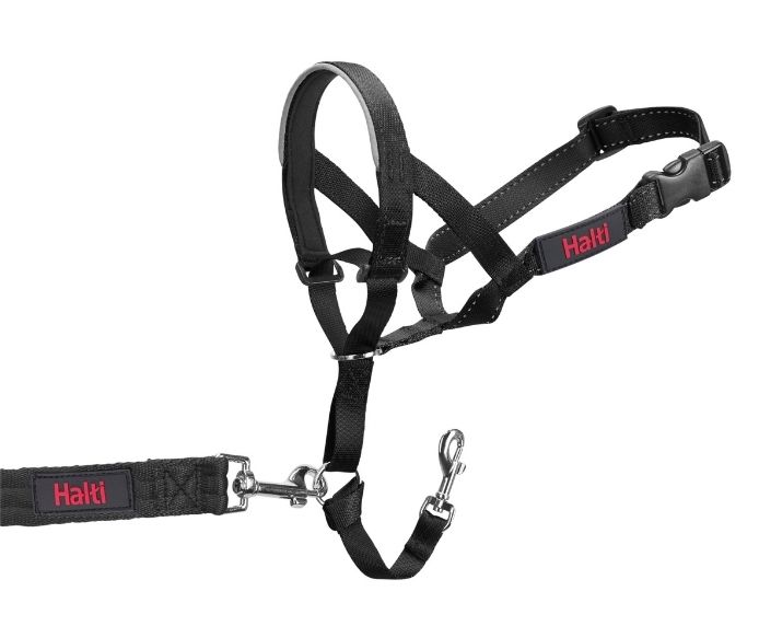 Halti Headcollar - Various Sizes - Black