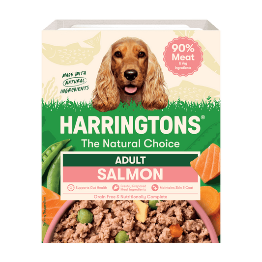 Harringtons grain-free Salmon with Potato & Vegetables wet dog food tray